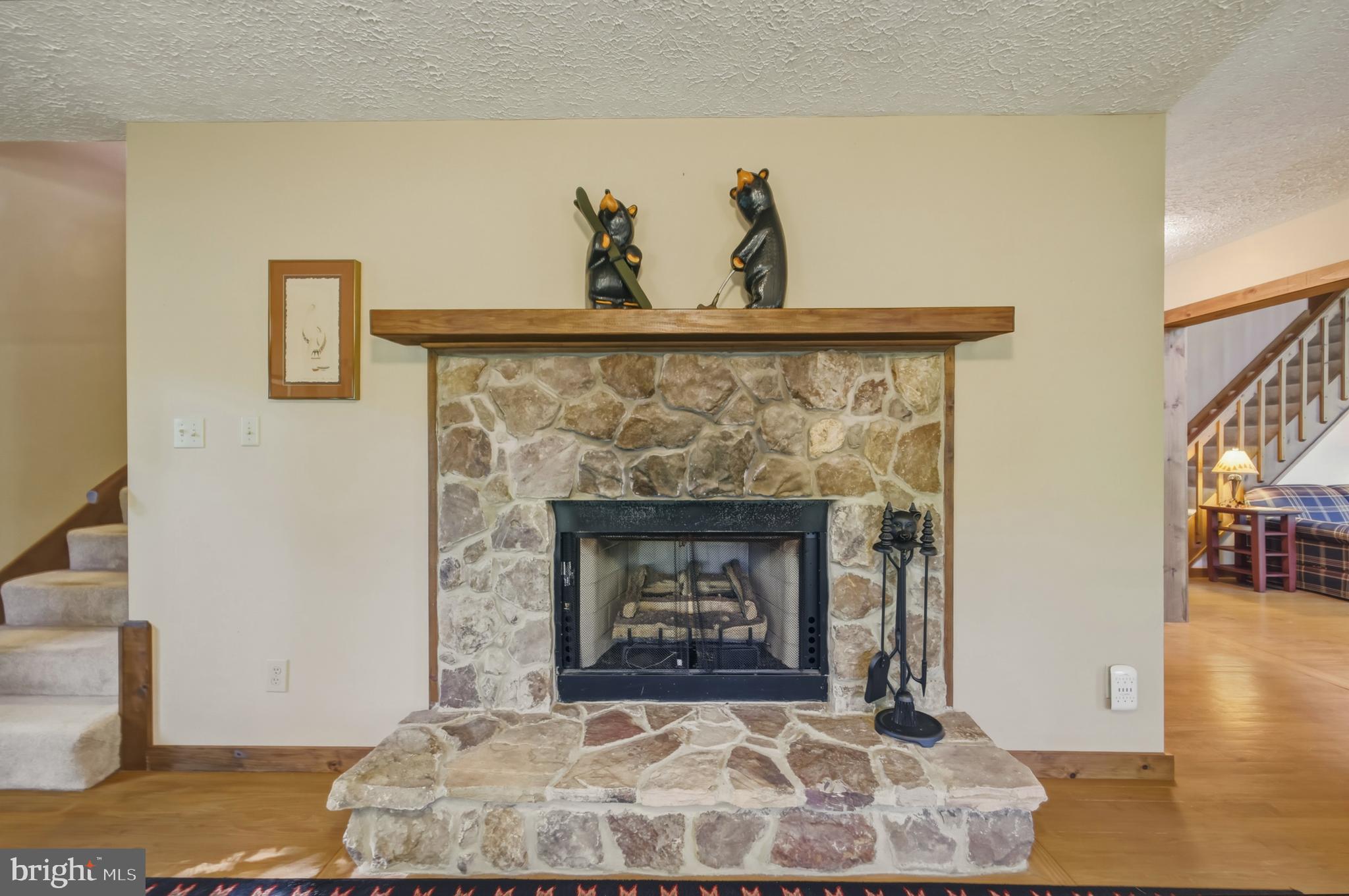309 Locust Lane Mount Jackson, VA 22842 - Photo 31 of 57 Gas Fireplace