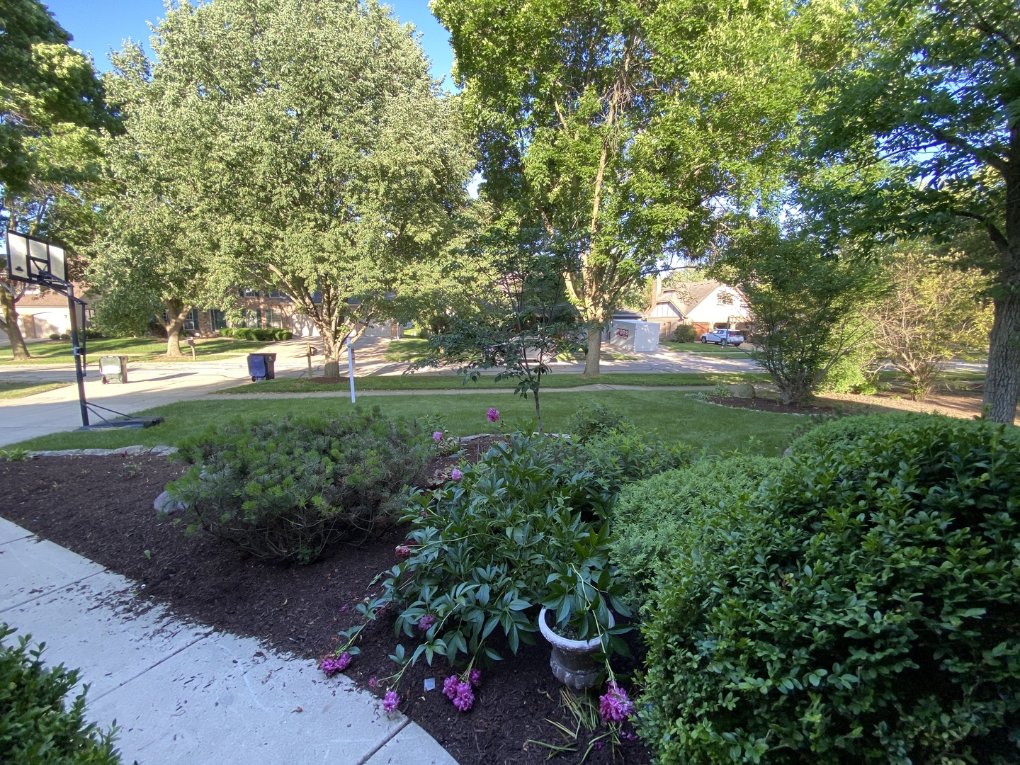 817 Turnbridge Circle Naperville, IL 60540 - Photo 3 of 42 a view of a garden with plants and trees