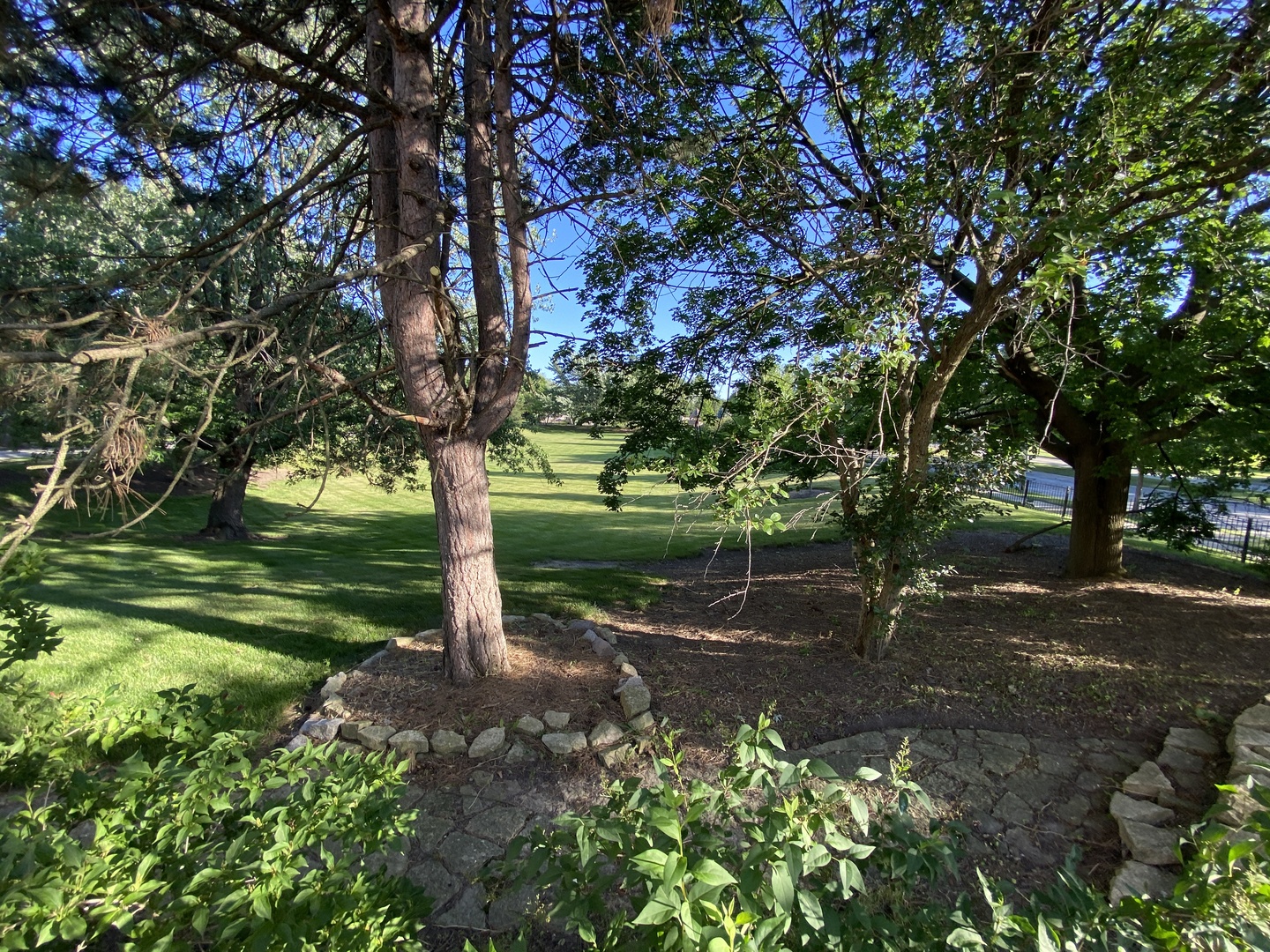 817 Turnbridge Circle Naperville, IL 60540 - Photo 41 of 42 a view of a tree in the middle of a yard