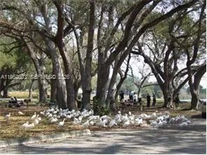 a view of a snow on the side of the road