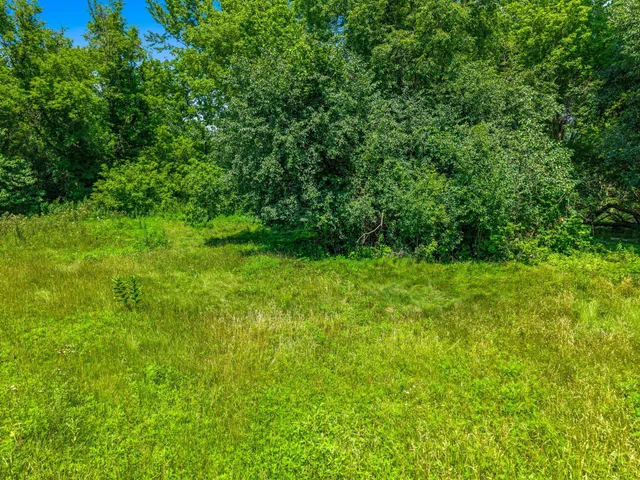 $100,000 | Outlotc East Pretty Lake Road, Ottawa, WI 53118