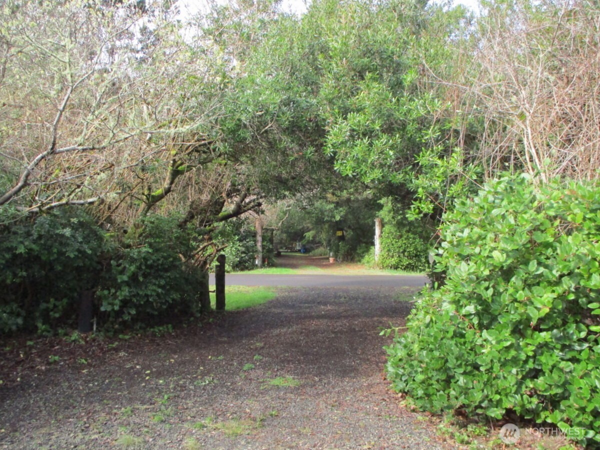 160 South Port Loop Southwest Ocean Shores, WA 98569 - Photo 5 of 27