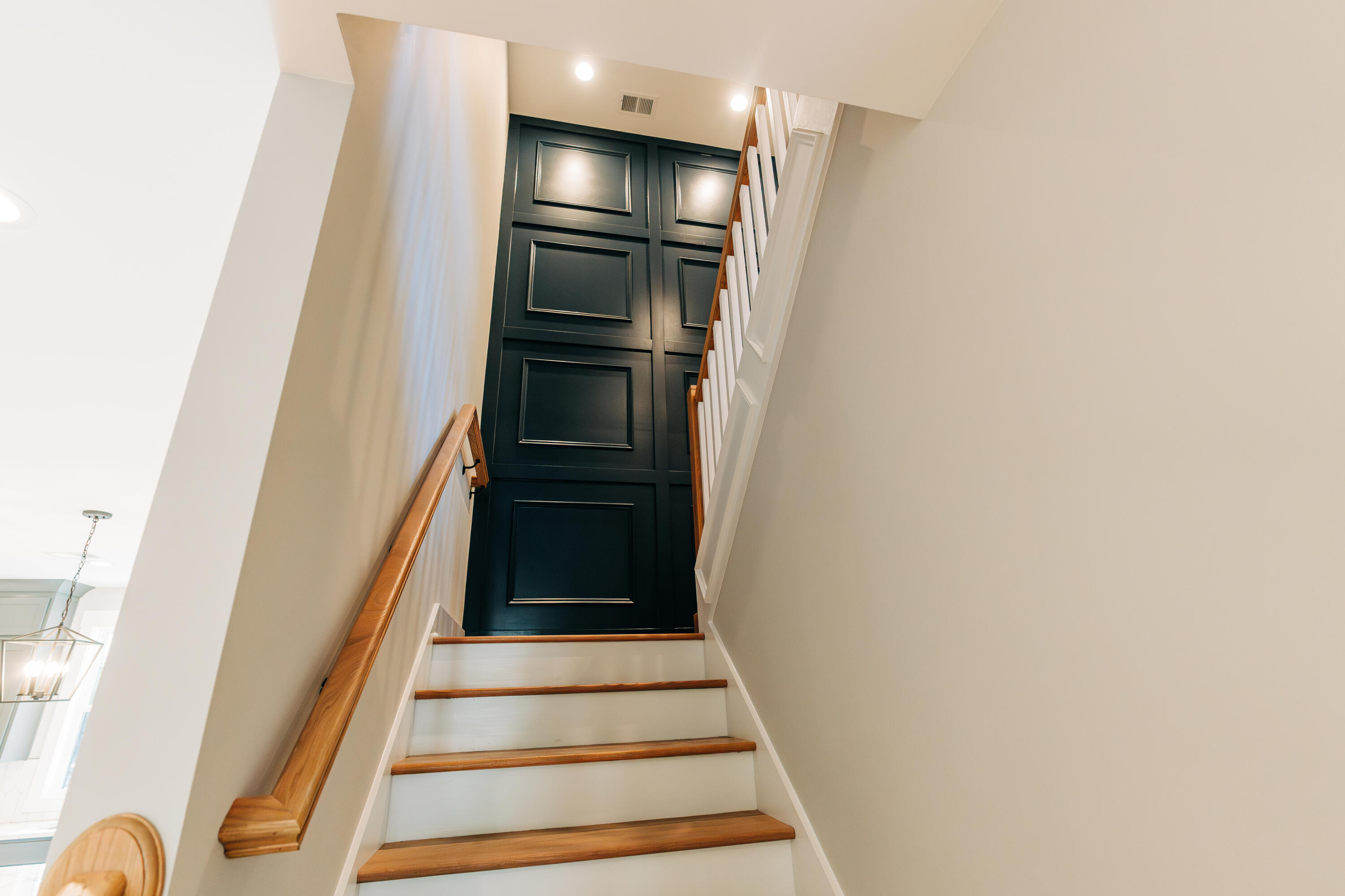 143 Harvest Way Walterboro, SC 29488 - Photo 46 of 62 DSC04185-Enhanced-NR