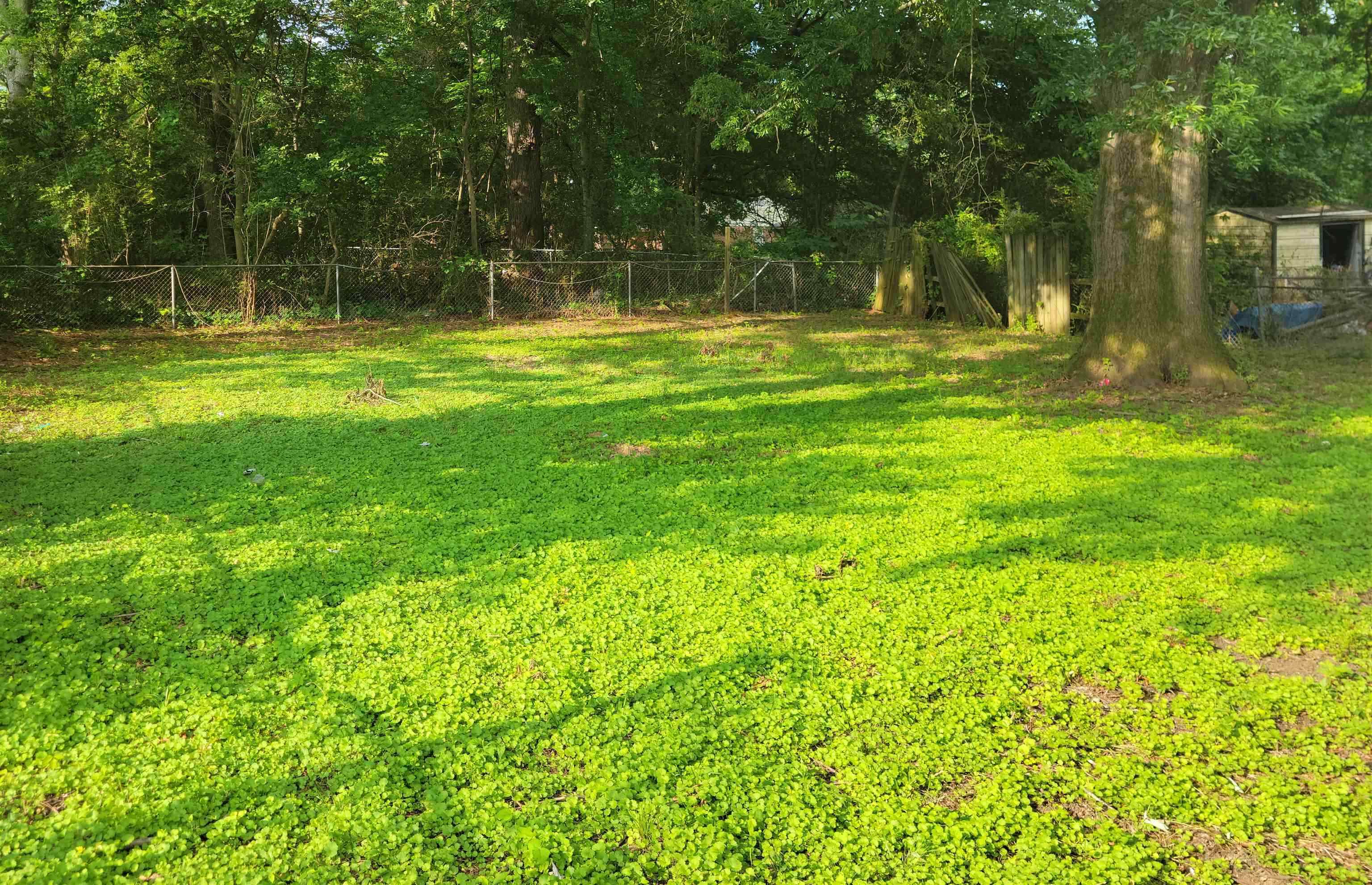 3271 Flower Valley Avenue Memphis, TN 38128 - Photo 4 of 5 View of fenced backyard