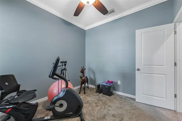 a bedroom with bed and a window