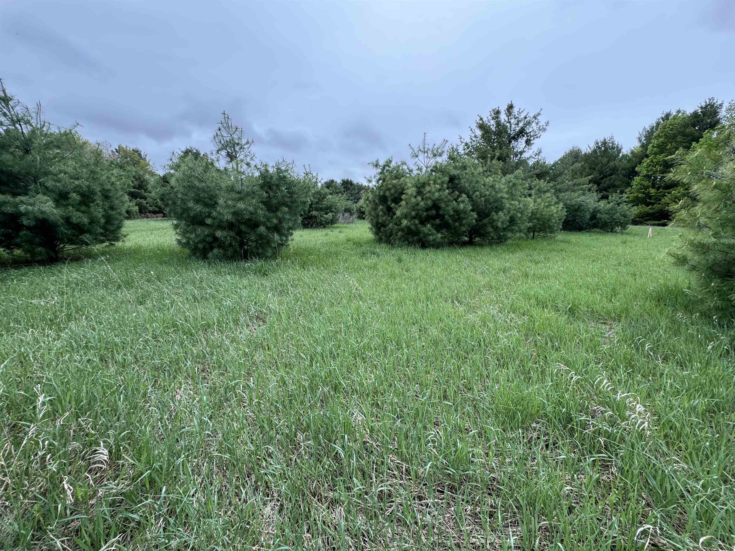 Lot #7 East Bellinger Road, Unit E HIGHLAND WOODS BELLIN Cedar, MI 49621 - Photo 12 of 20