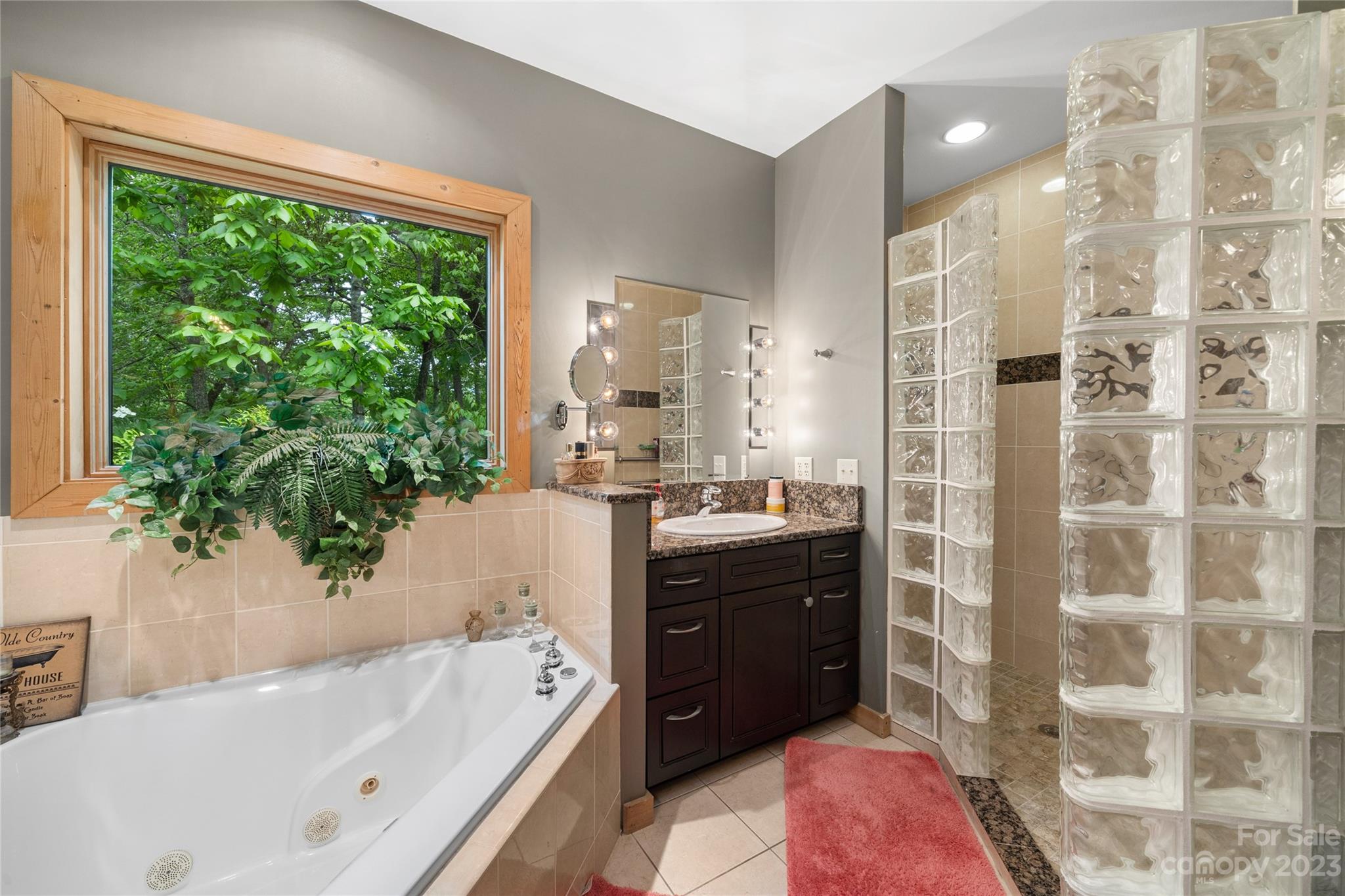 193 Eagle Ridge Clyde, NC 28721 - Photo 20 of 48 a bathroom with a tub sink and mirror
