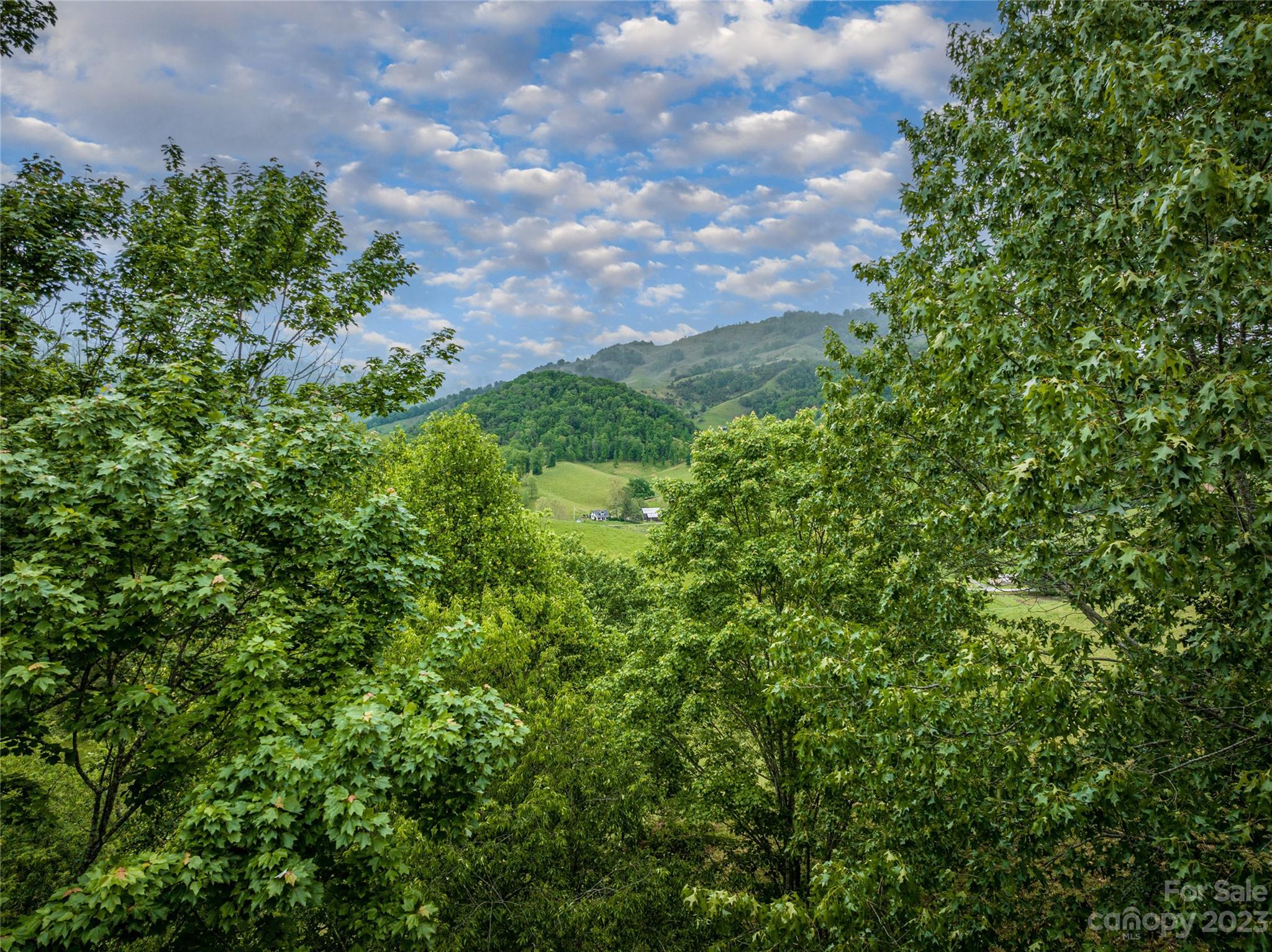 193 Eagle Ridge Clyde, NC 28721 - Photo 43 of 48 a view of a garden