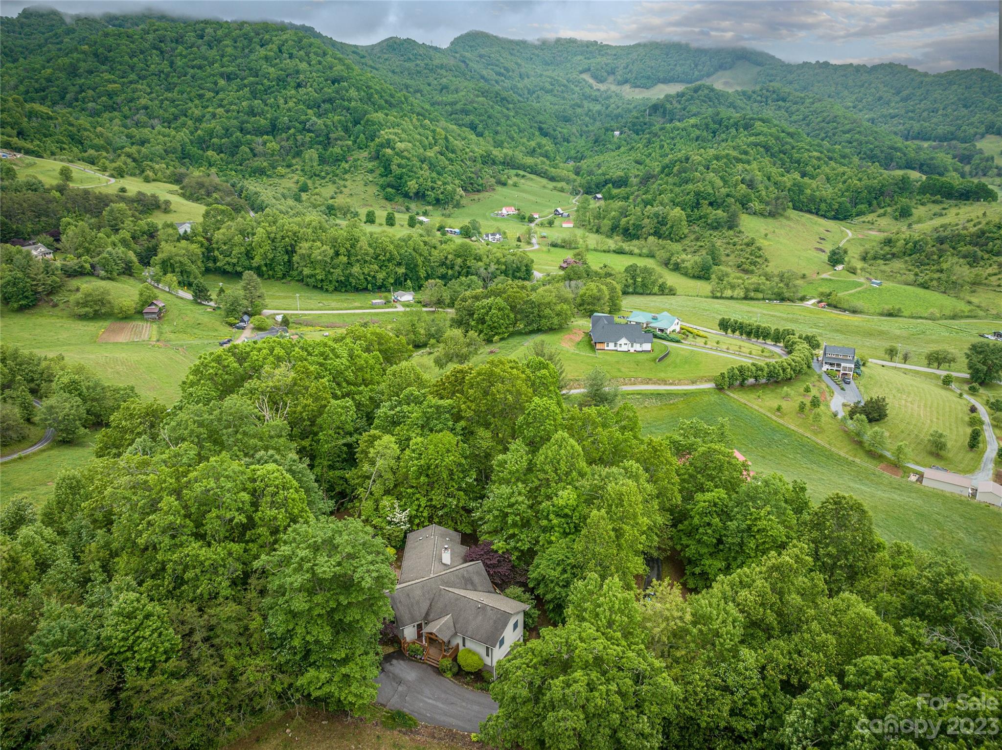 193 Eagle Ridge Clyde, NC 28721 - Photo 46 of 48 a view of a lush green forest with trees and some houses