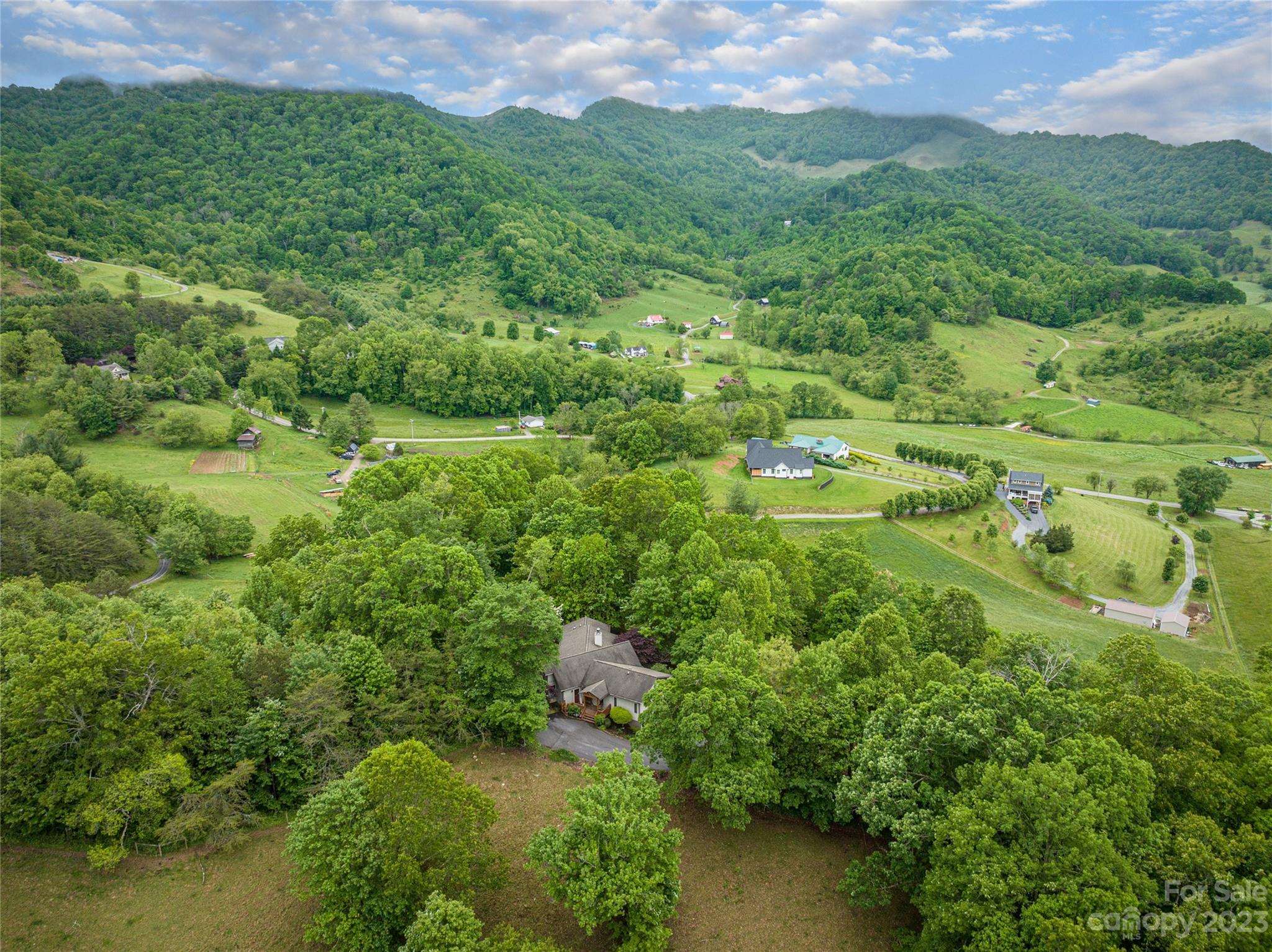 193 Eagle Ridge Clyde, NC 28721 - Photo 47 of 48 a view of a lush green forest with lots of trees