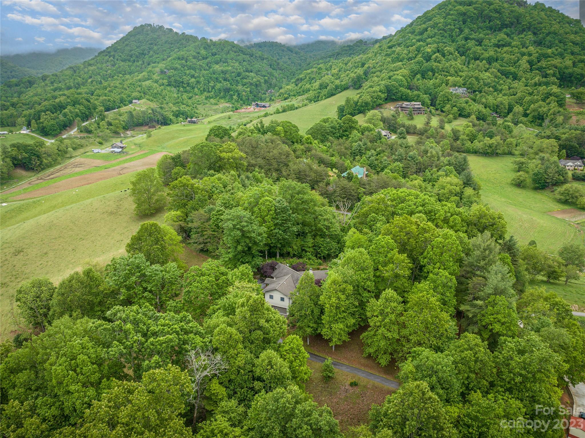 193 Eagle Ridge Clyde, NC 28721 - Photo 48 of 48 a view of a lush green space