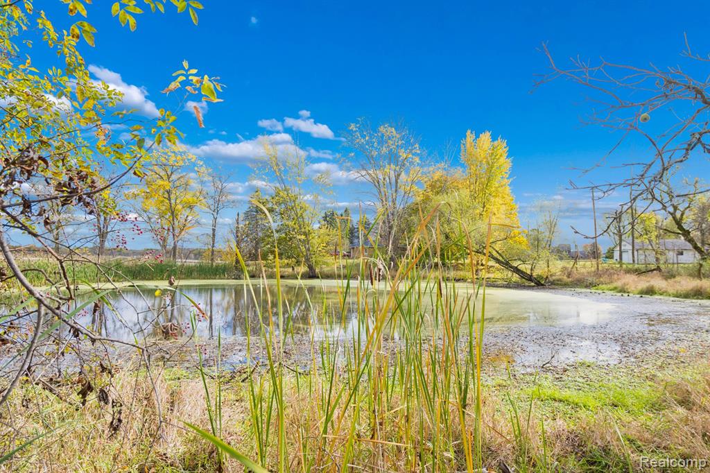 13278 9 Mile Road South Lyon, MI 48178 - Photo 38 of 56