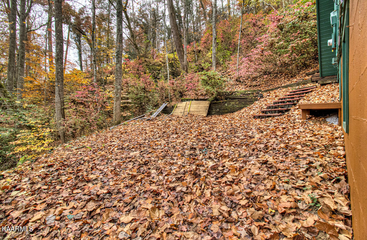 229 Bruce Road Gatlinburg, TN 37738 - Photo 34 of 40 IMG_7417LR