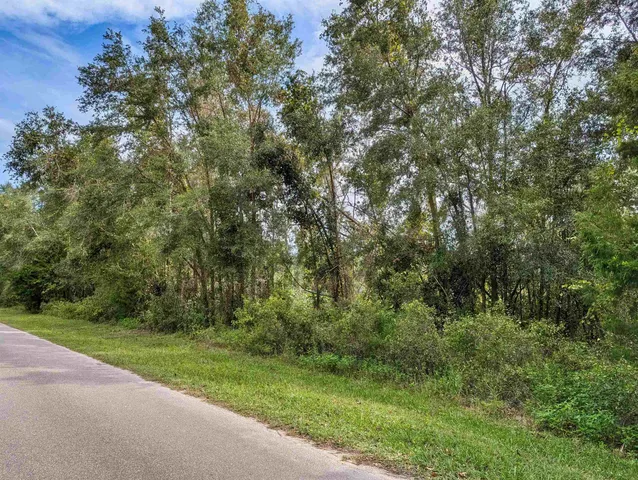 $25,000 | 2 Tbd, Mayo, FL 32066