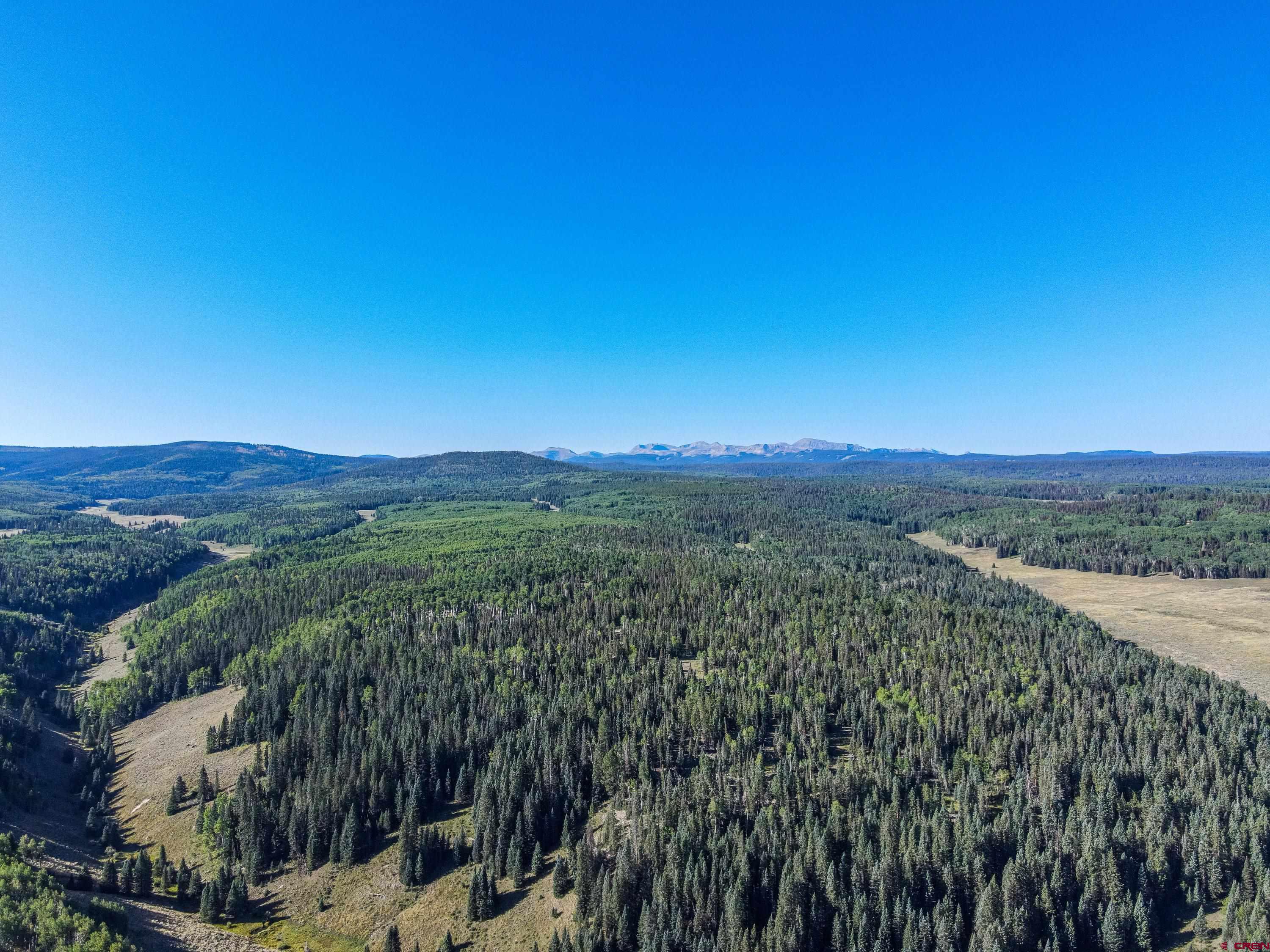 60 Spruce Road Cimarron, CO 81220 - Photo 32 of 32 Gallery Image 32