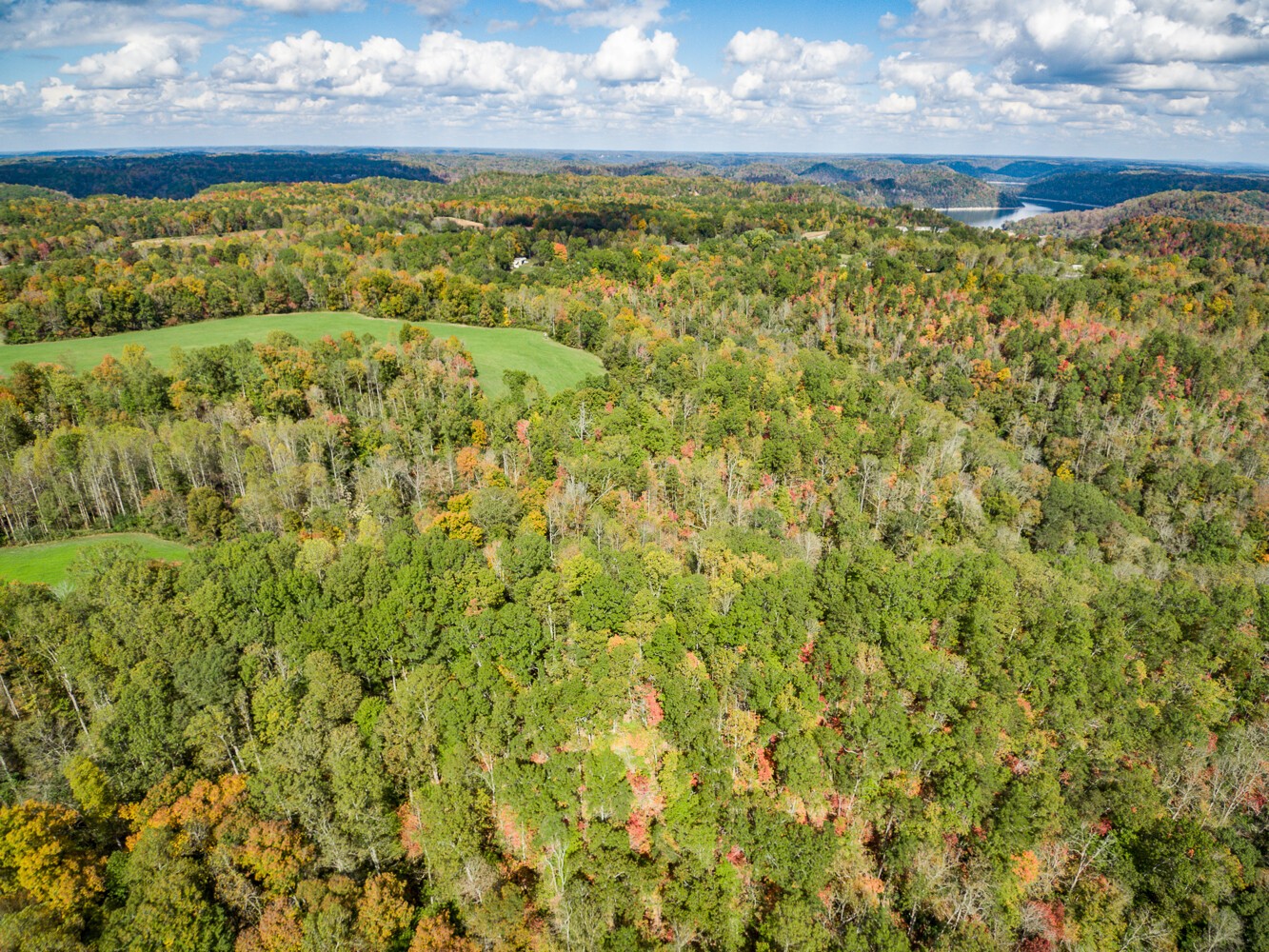 1022 Old W Point Road Smithville, TN 37166 - Photo 11 of 18 Gallery Image 11