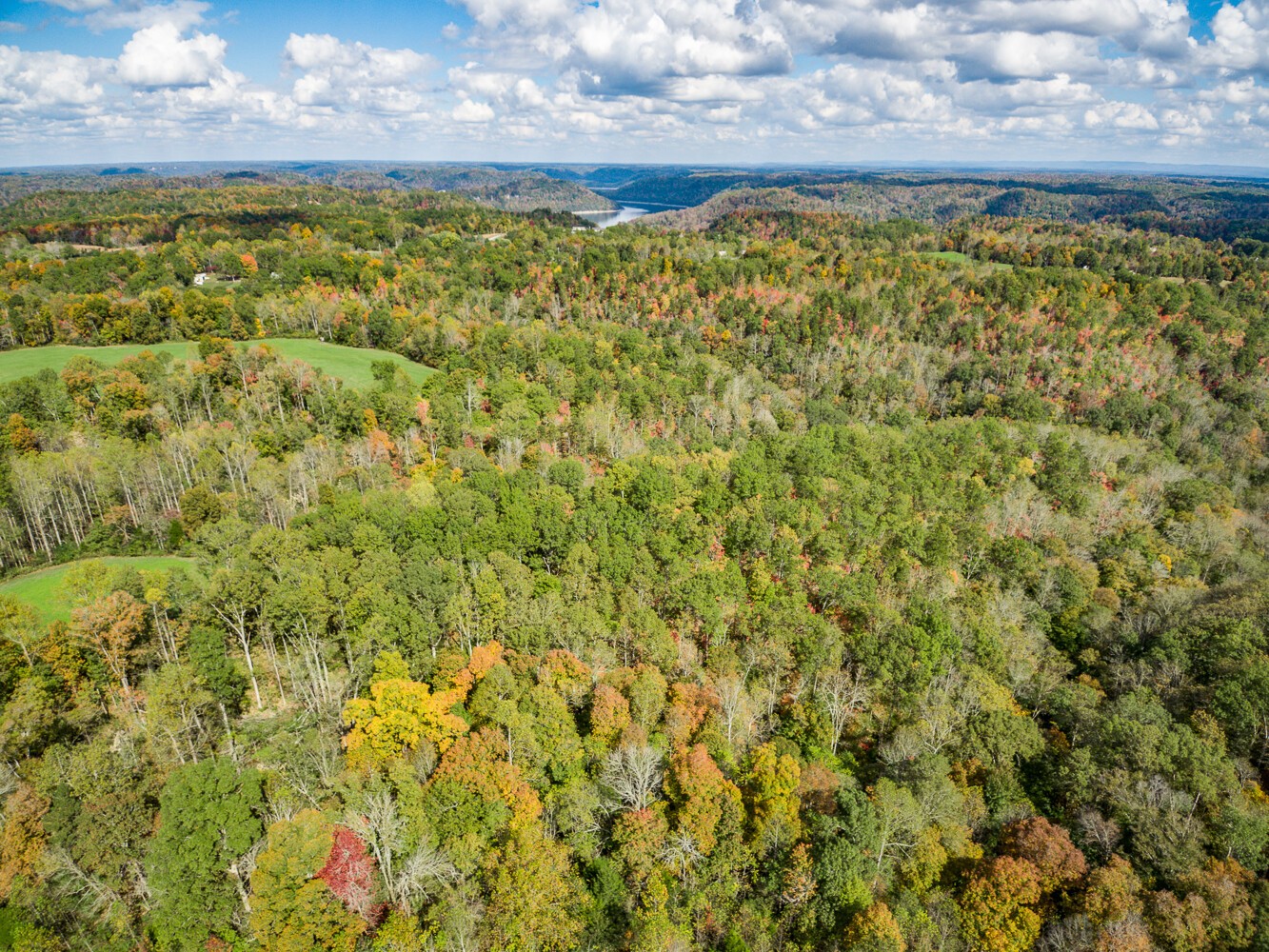 1022 Old W Point Road Smithville, TN 37166 - Photo 13 of 18 Gallery Image 13