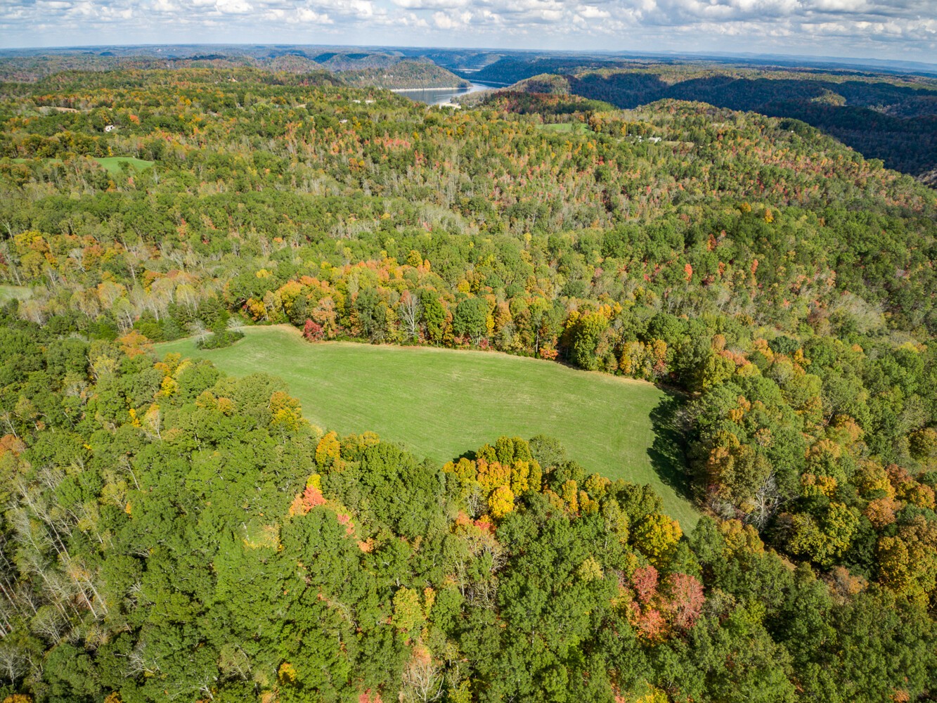 1022 Old W Point Road Smithville, TN 37166 - Photo 3 of 18 Gallery Image 3