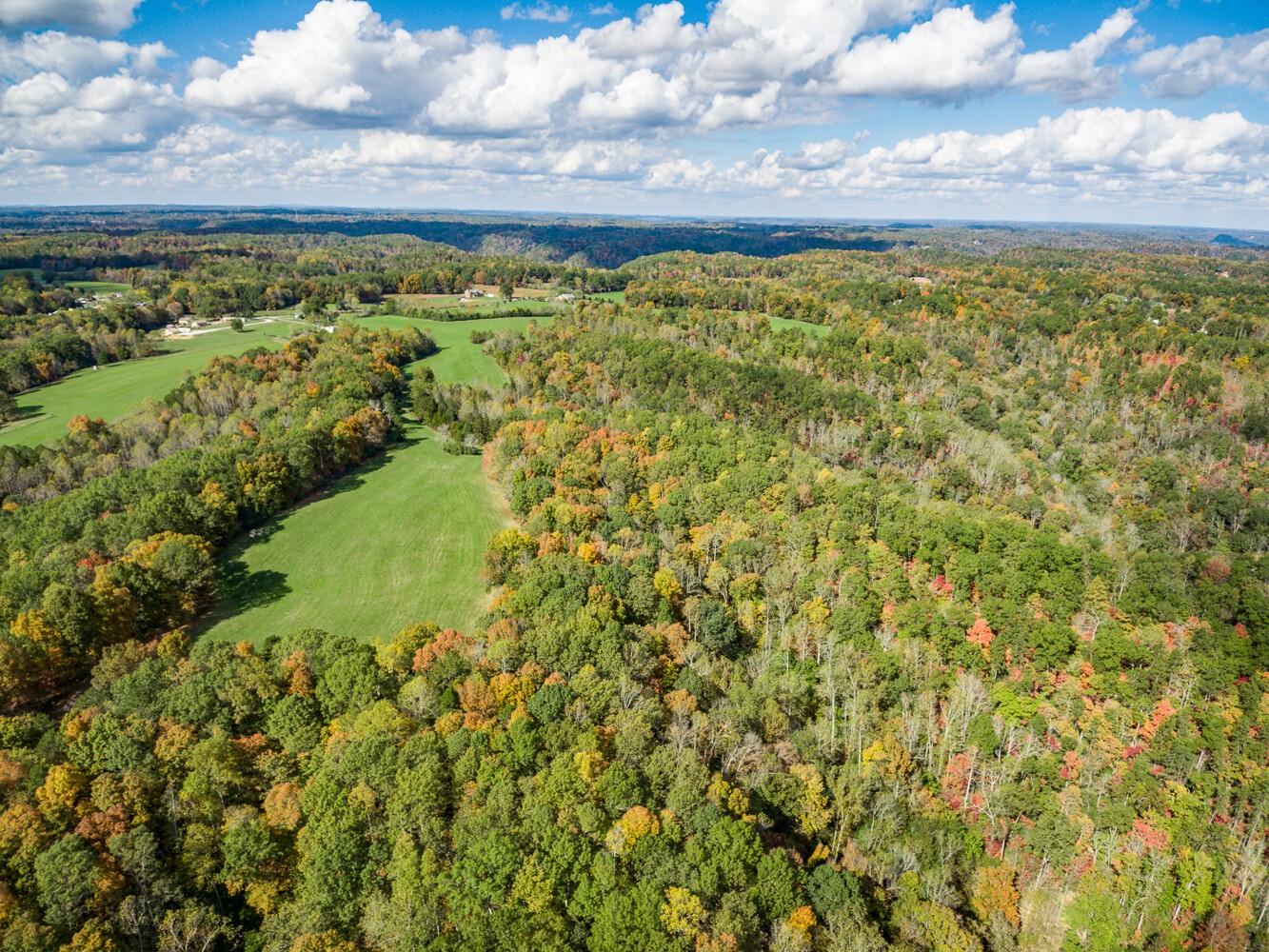 1022 Old W Point Road Smithville, TN 37166 - Photo 9 of 18 Gallery Image 9