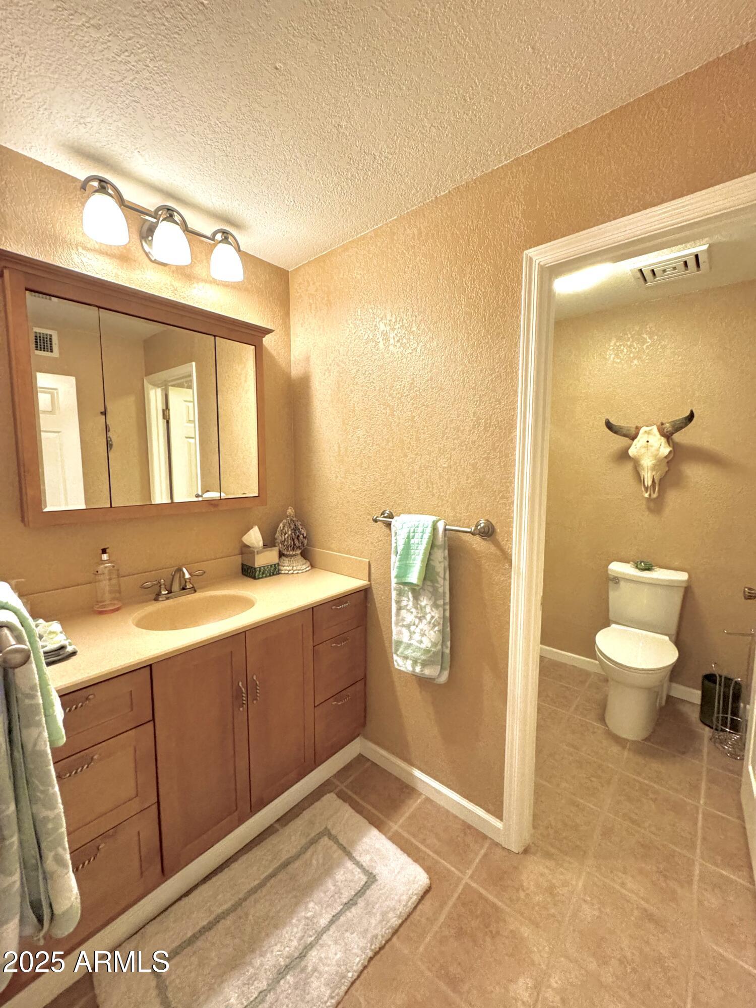 7432 Hum Road, Unit 203 Carefree, AZ 85377 - Photo 13 of 21 a bathroom with a sink a toilet and mirror