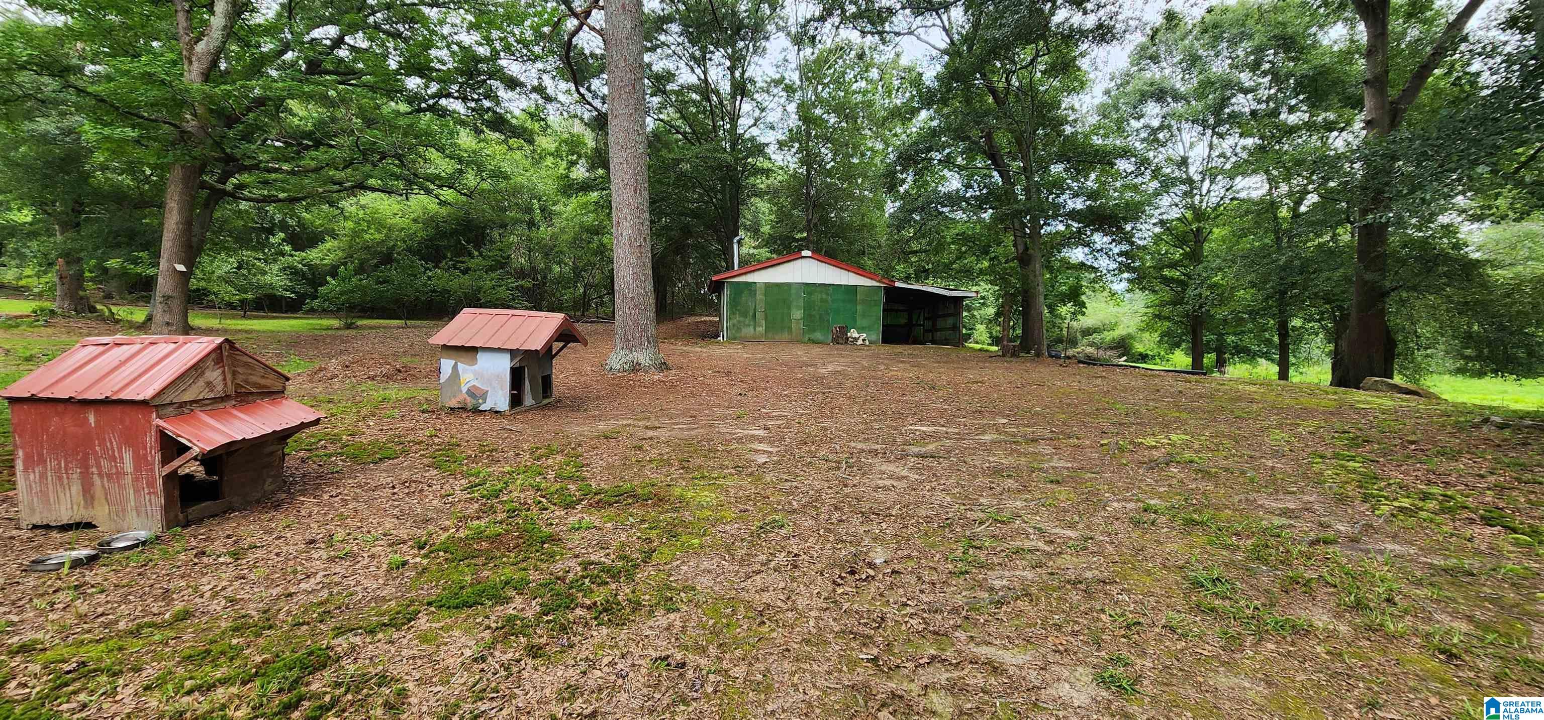 368 Dodd Road Altoona, AL 35952 - Photo 48 of 54