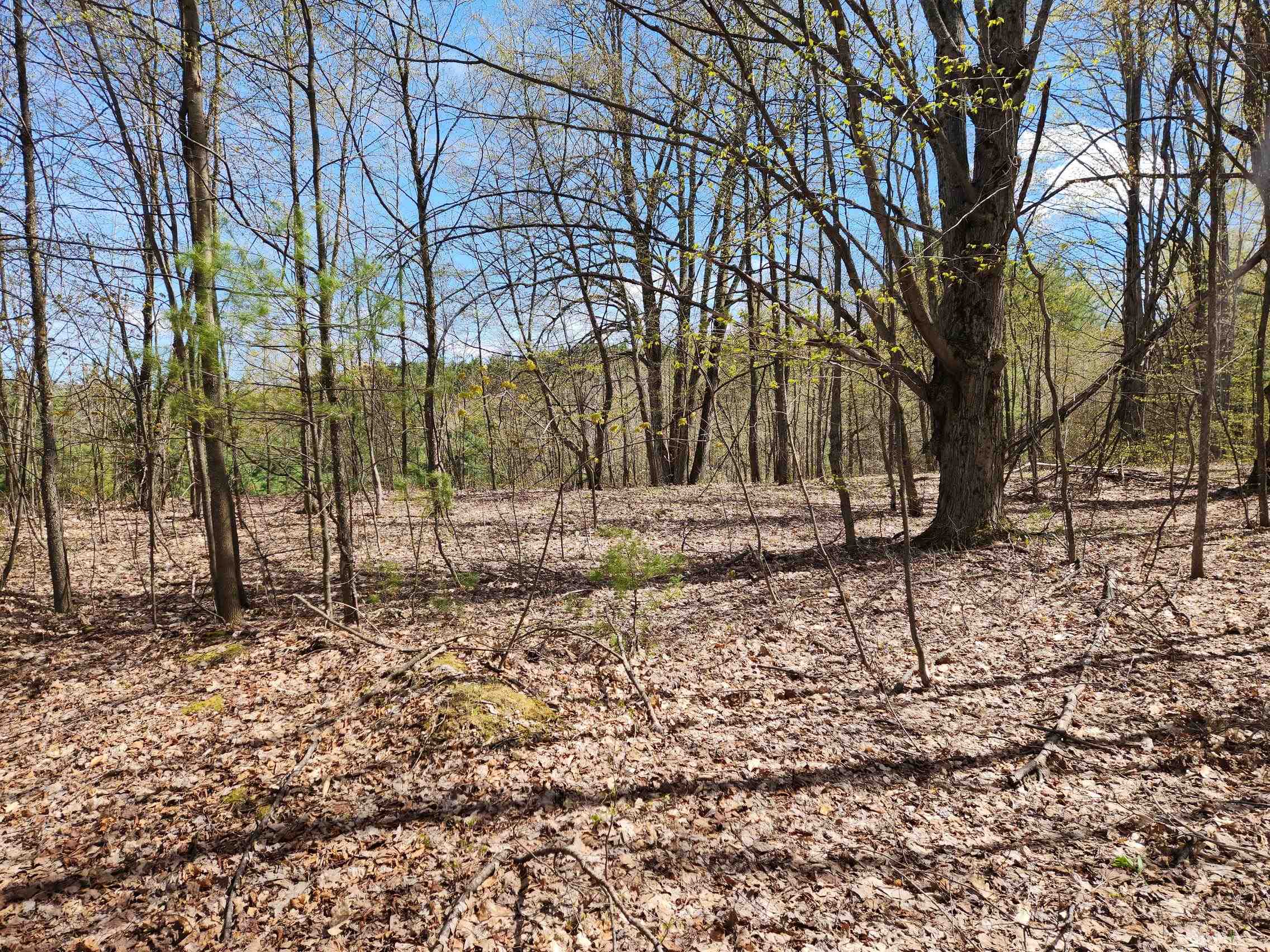 7777 Henschell Road Southwest South Boardman, MI 49680 - Photo 19 of 31