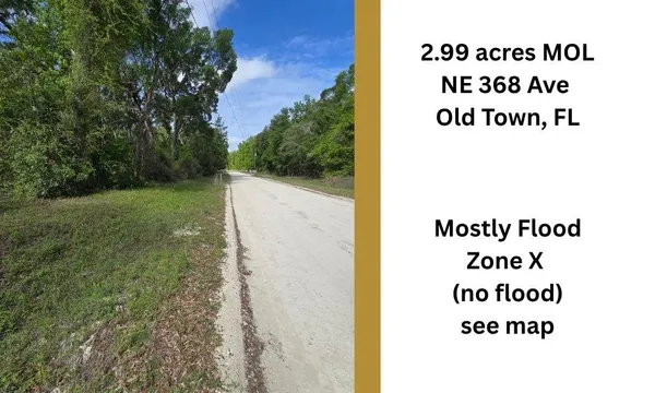 $39,400 | Tbd Northeast 368th Avenue, Old Town, FL 32680