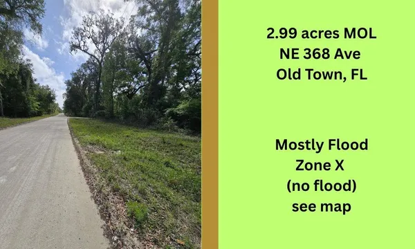 $39,400 | Tbd Northeast 368th Avenue, Old Town, FL 32680