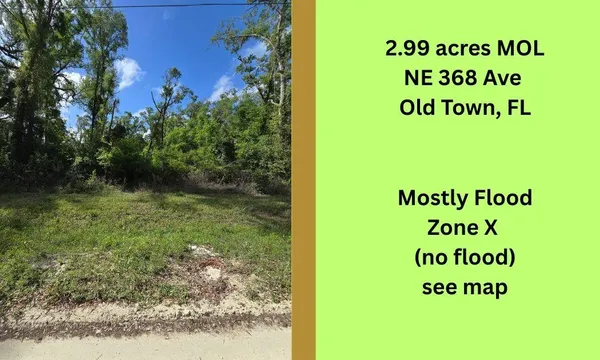 $39,400 | Tbd Northeast 368th Avenue, Old Town, FL 32680