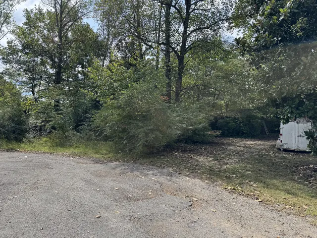 a view of a yard with a tree
