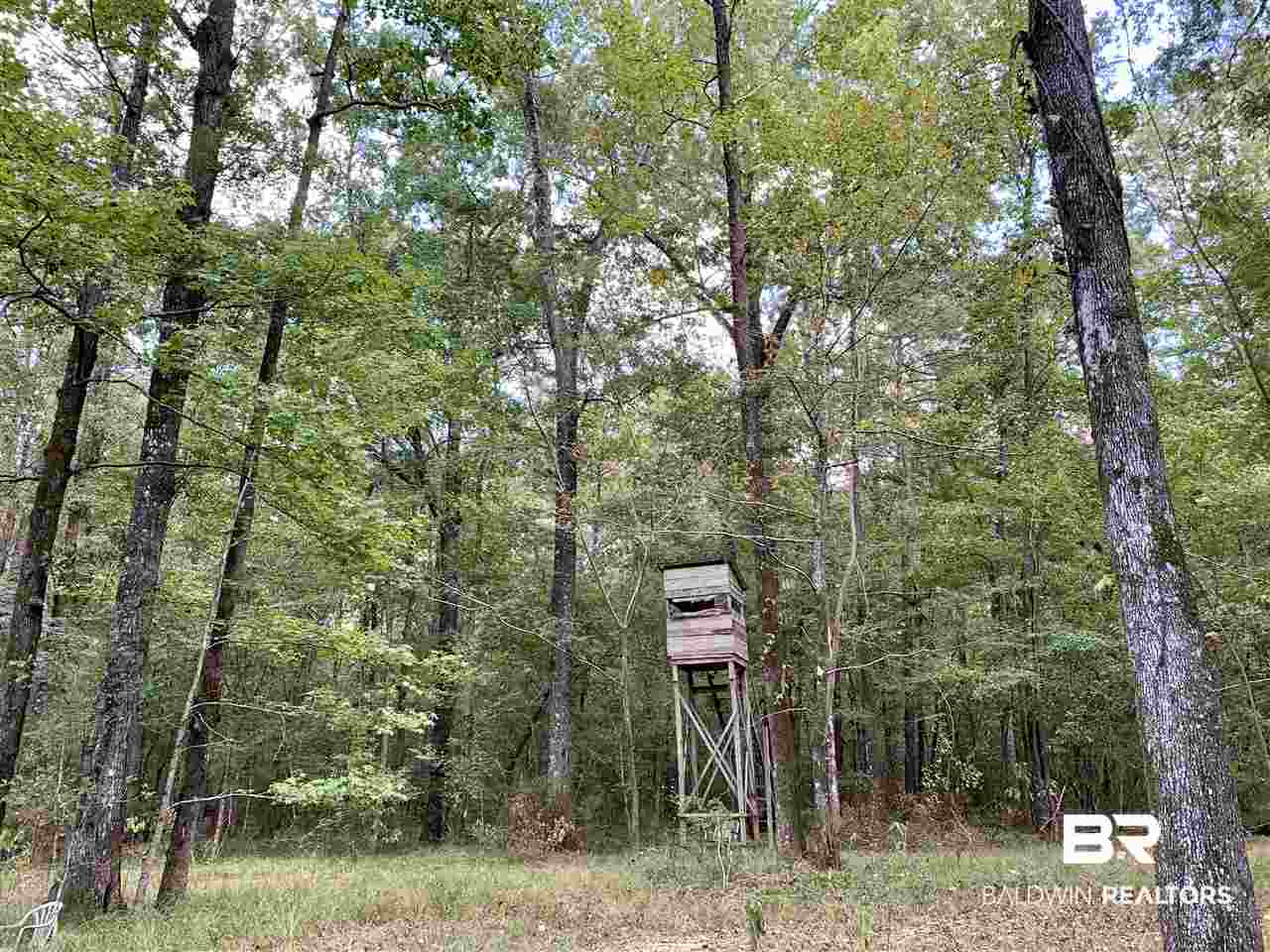0 Holly Creek Road Stockton, AL 36579 - Photo 4 of 50