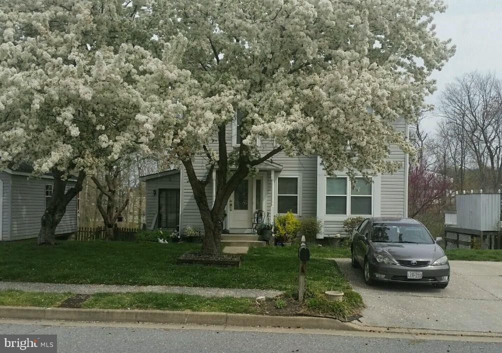 38 Winehurst Road Baltimore, MD 21228 - Photo 35 of 35 Front View in the Spring