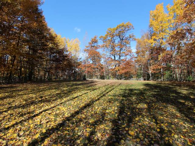 1731 Yellow Birch Road Eagle River, WI 54521 - Photo 10 of 16 Gallery Image 10