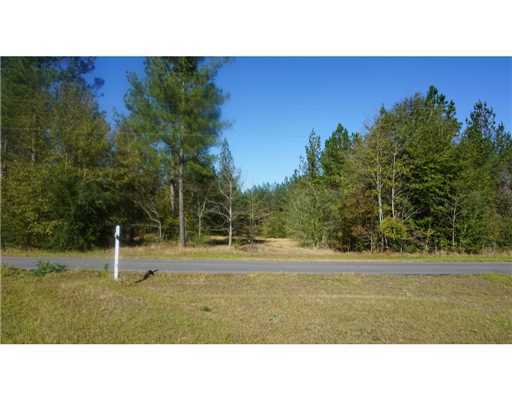 Lot 4 Bennie Wall Road Lucedale, MS 39452 - Photo 11 of 11 Additional Photo