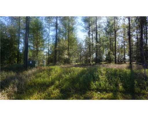Lot 4 Bennie Wall Road Lucedale, MS 39452 - Photo 3 of 11 Additional Photo