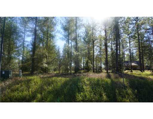Lot 4 Bennie Wall Road Lucedale, MS 39452 - Photo 5 of 11 Additional Photo