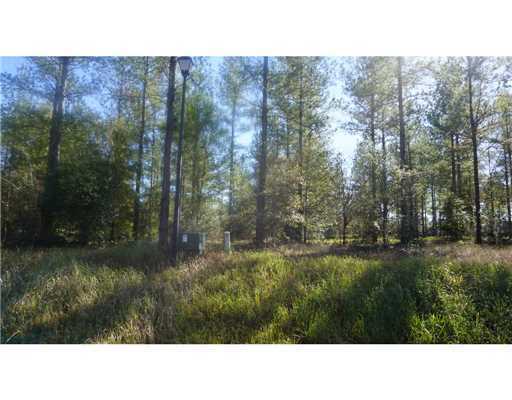 Lot 4 Bennie Wall Road Lucedale, MS 39452 - Photo 6 of 11 Additional Photo
