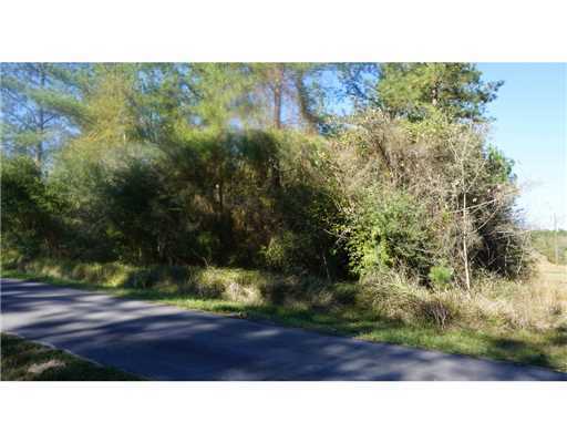Lot 4 Bennie Wall Road Lucedale, MS 39452 - Photo 7 of 11 Additional Photo