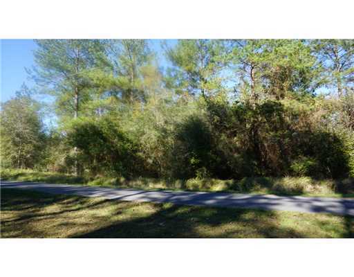 Lot 4 Bennie Wall Road Lucedale, MS 39452 - Photo 8 of 11 Additional Photo
