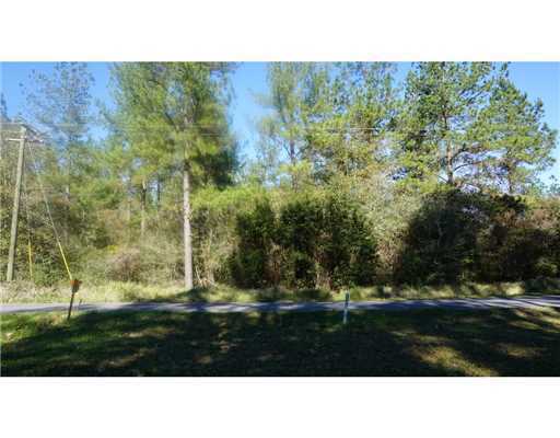 Lot 4 Bennie Wall Road Lucedale, MS 39452 - Photo 9 of 11 Additional Photo