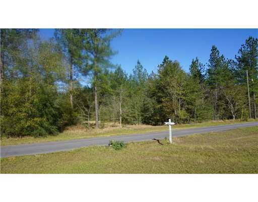 Lot 4 Bennie Wall Road Lucedale, MS 39452 - Photo 10 of 11 Additional Photo