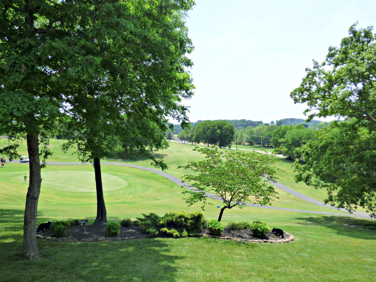 1109 Country Club Road Dandridge, TN 37725 - Photo 33 of 38 P1220843