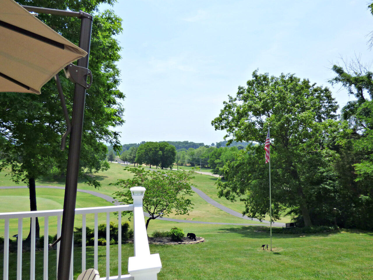 1109 Country Club Road Dandridge, TN 37725 - Photo 34 of 38 P1220844