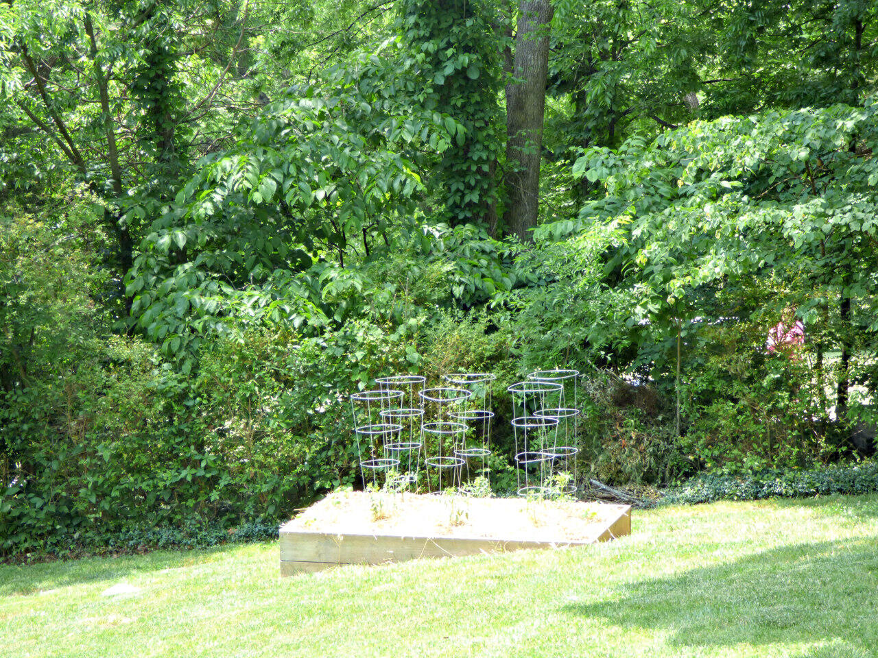 1109 Country Club Road Dandridge, TN 37725 - Photo 35 of 38 P1220846