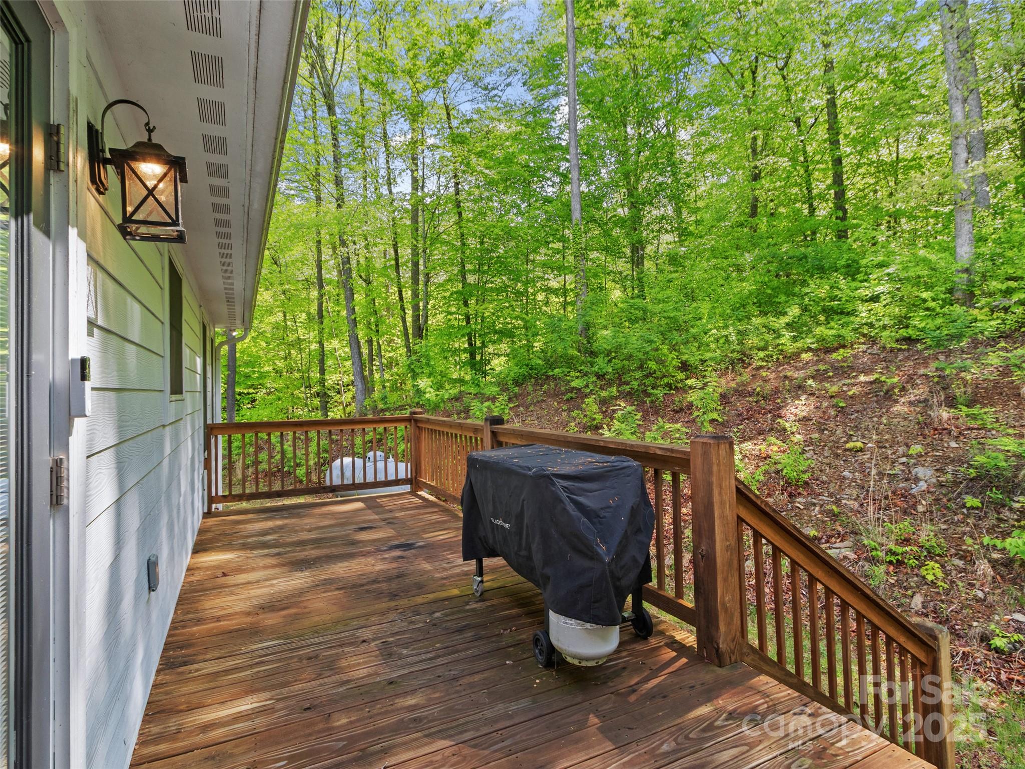 155 Pebble Ridge Road Spruce Pine, NC 28777 - Photo 30 of 39 a view of balcony with wooden floor and outdoor space