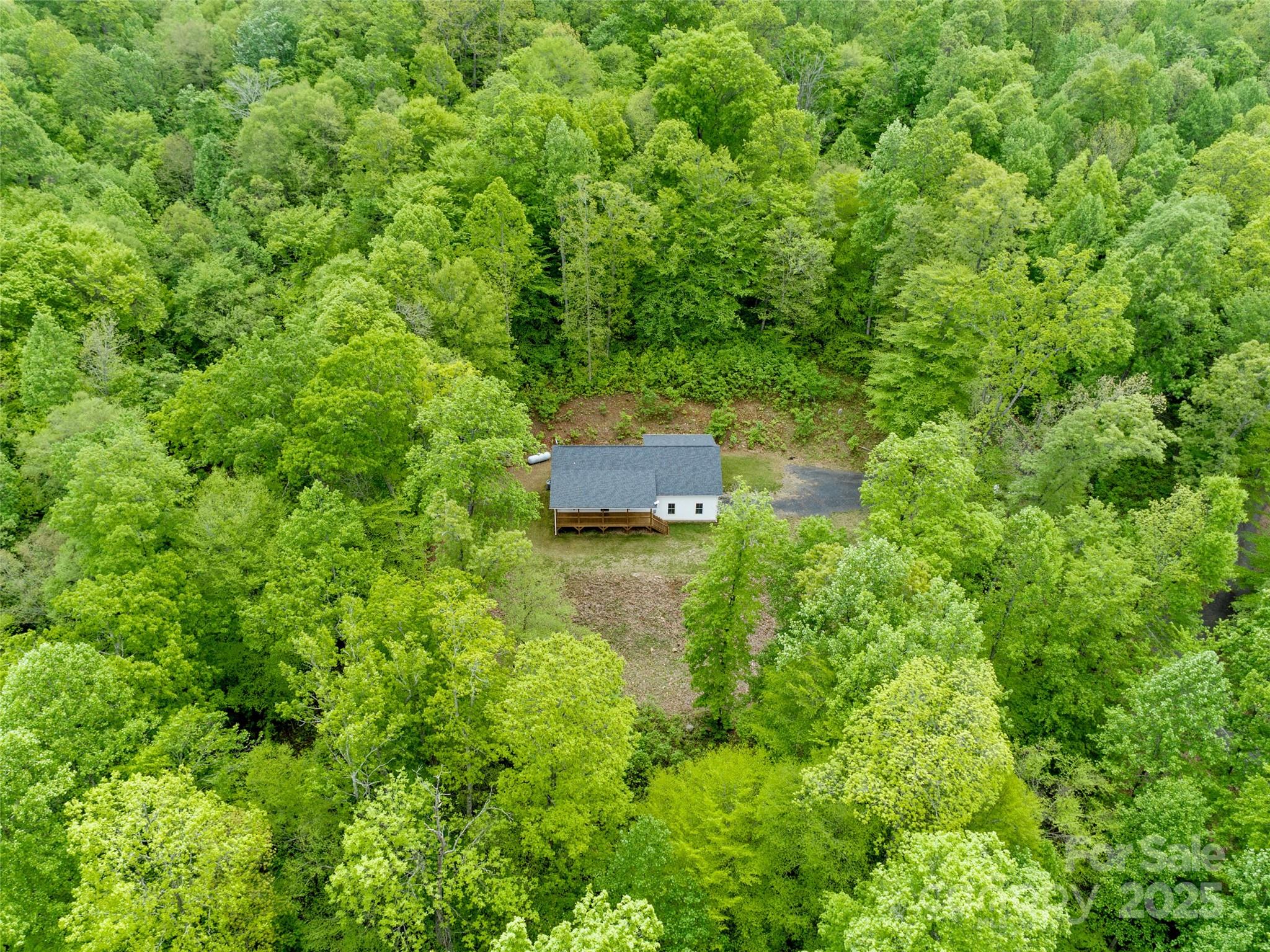 155 Pebble Ridge Road Spruce Pine, NC 28777 - Photo 36 of 39 a garden view