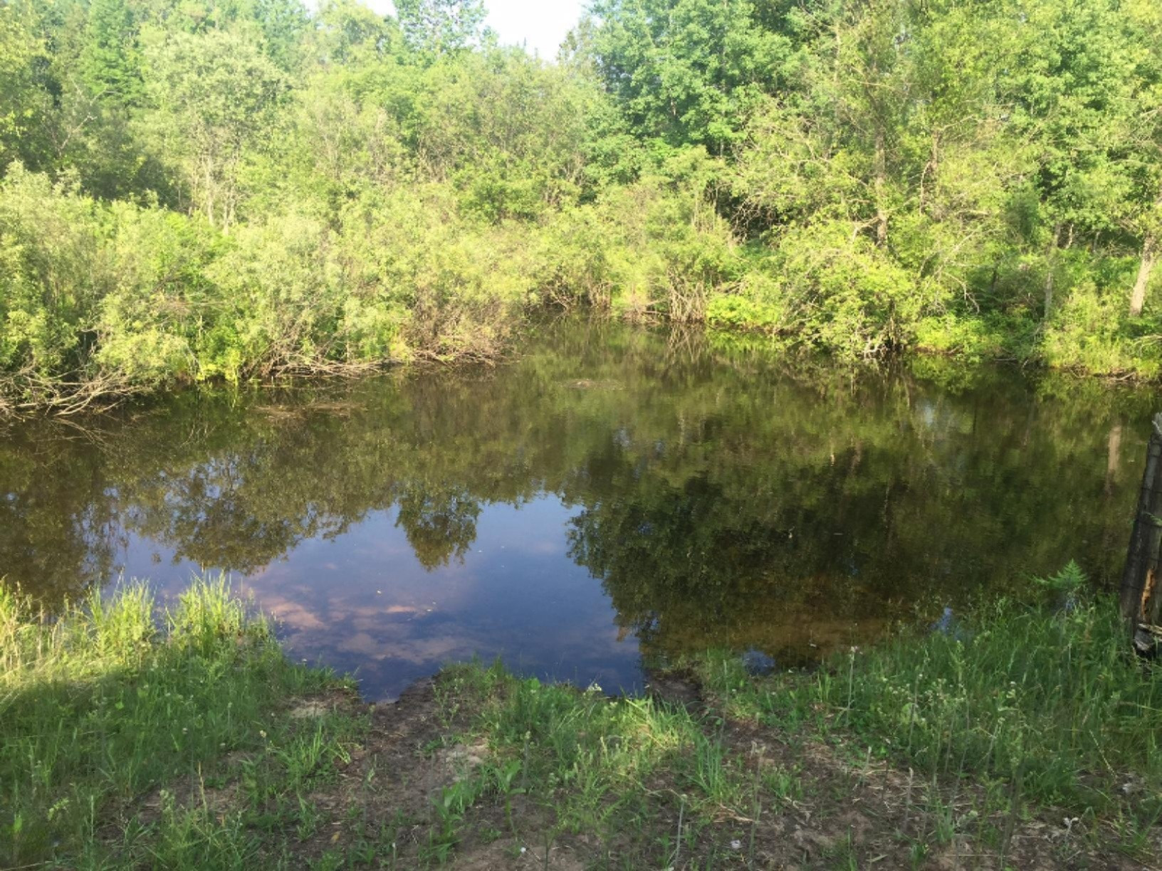 10 West 10 Mile Road Bitely, MI 49309 - Photo 1 of 15 IMG_0911
