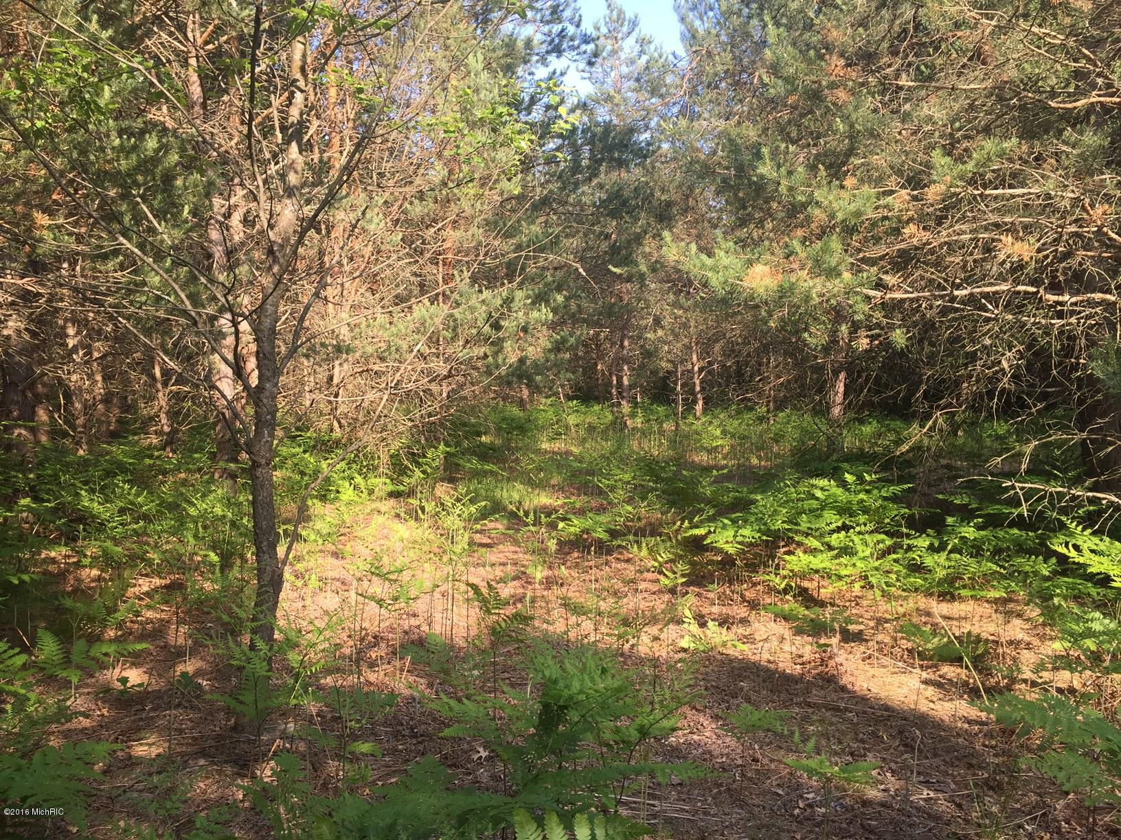 10 West 10 Mile Road Bitely, MI 49309 - Photo 12 of 15 IMG_0919