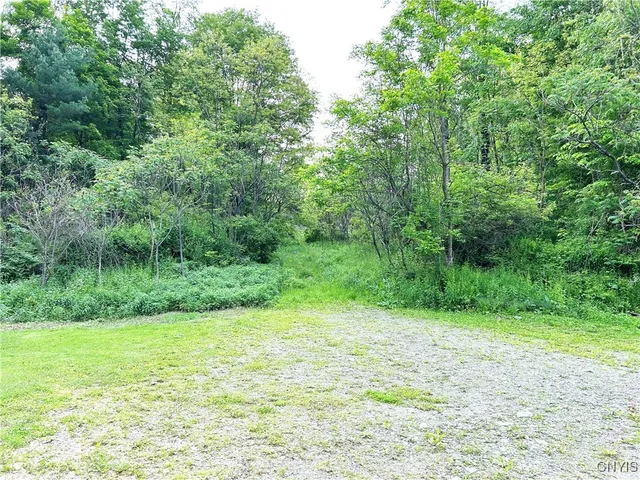 $125,000 | 10175 Highway 79, Lisle, NY 13835