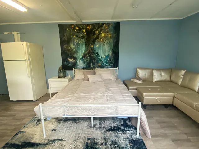 a bed room with a bed and a couch